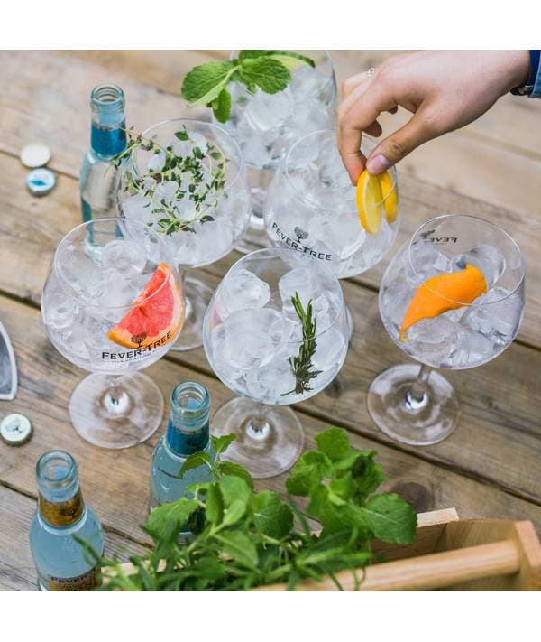 Degustace Gin